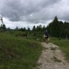 18.06.2016: Zugspitz Ulttra-Trail
